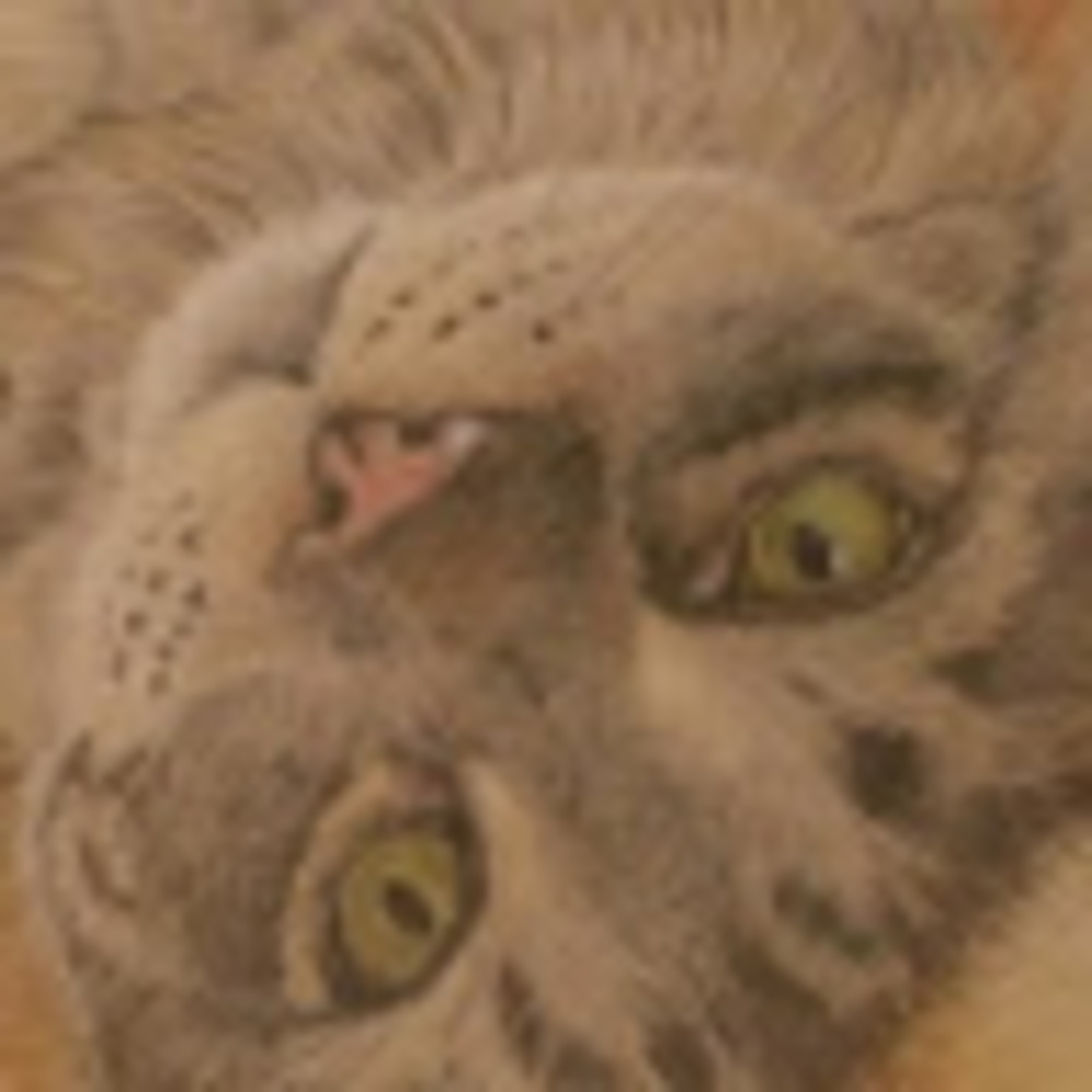 Meet your Posher, Ferreirafinearts